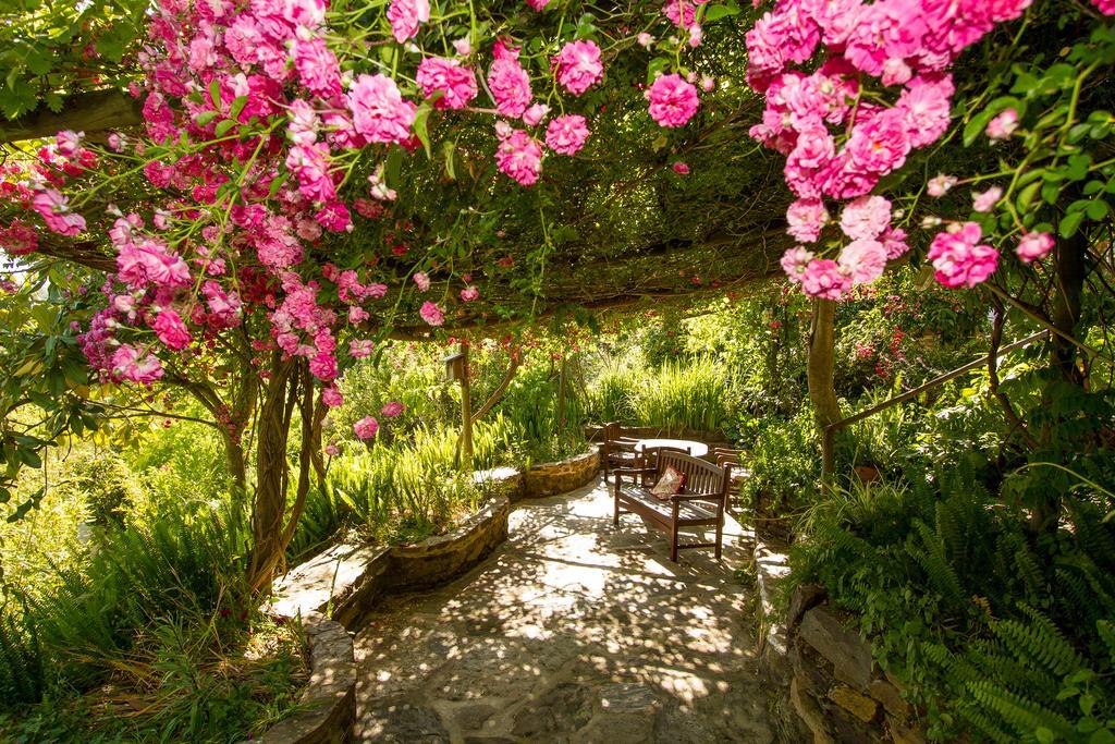 Paradise In Portugal Санта-Клара-а-Велья Экстерьер фото